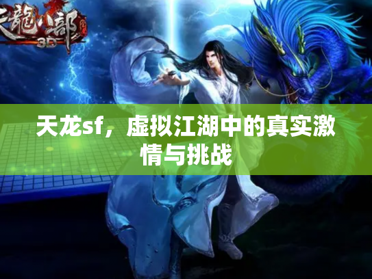天龙sf，虚拟江湖中的真实激情与挑战