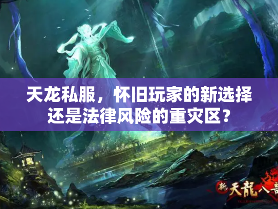 天龙私服，怀旧玩家的新选择还是法律风险的重灾区？
