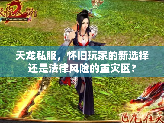 天龙私服，怀旧玩家的新选择还是法律风险的重灾区？