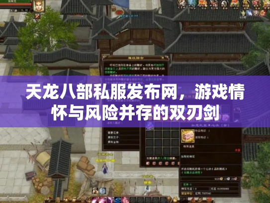 天龙八部私服发布网，游戏情怀与风险并存的双刃剑