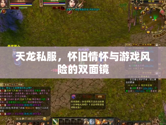 天龙私服，怀旧情怀与游戏风险的双面镜