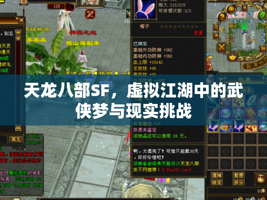 天龙八部SF，虚拟江湖中的武侠梦与现实挑战