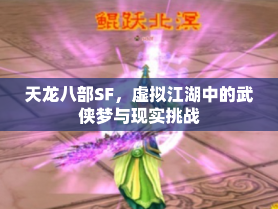 天龙八部SF，虚拟江湖中的武侠梦与现实挑战
