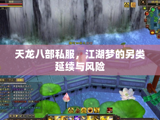 天龙八部私服，江湖梦的另类延续与风险