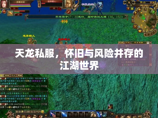 天龙私服，怀旧与风险并存的江湖世界