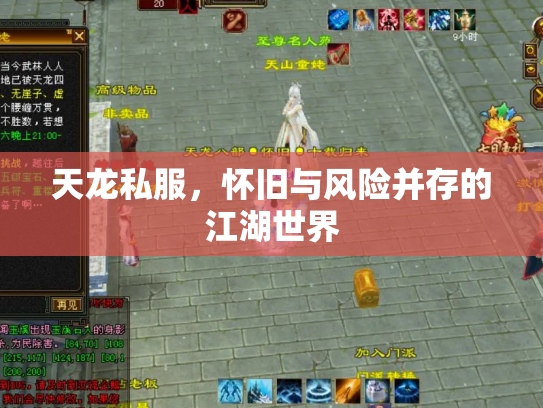 天龙私服，怀旧与风险并存的江湖世界