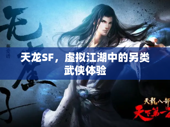 天龙SF，虚拟江湖中的另类武侠体验