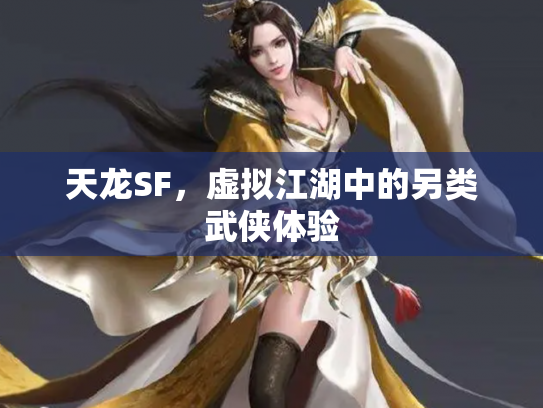 天龙SF，虚拟江湖中的另类武侠体验