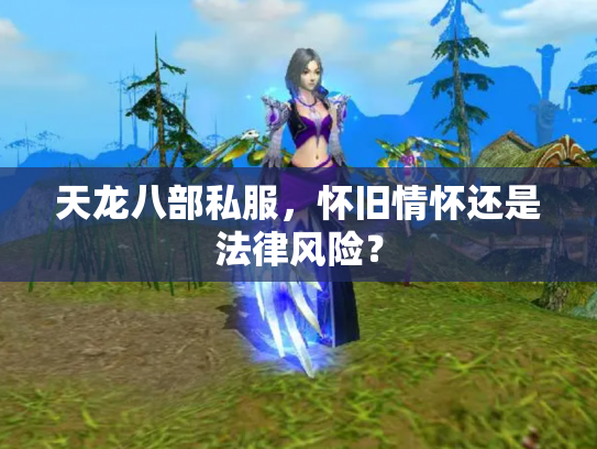 天龙八部私服，怀旧情怀还是法律风险？