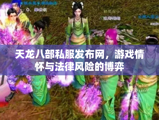 天龙八部私服发布网，游戏情怀与法律风险的博弈