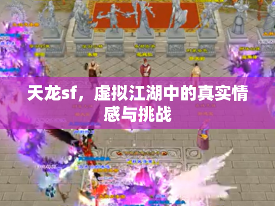 天龙sf，虚拟江湖中的真实情感与挑战