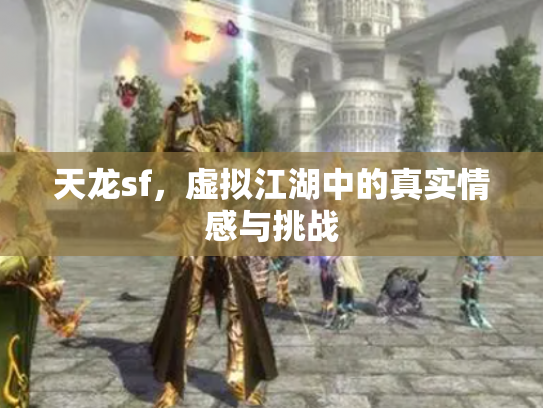 天龙sf，虚拟江湖中的真实情感与挑战