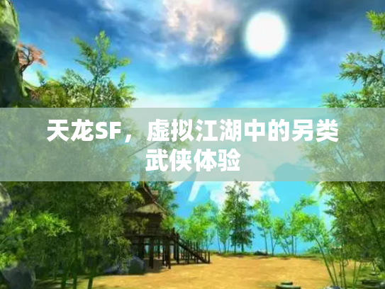 天龙SF，虚拟江湖中的另类武侠体验
