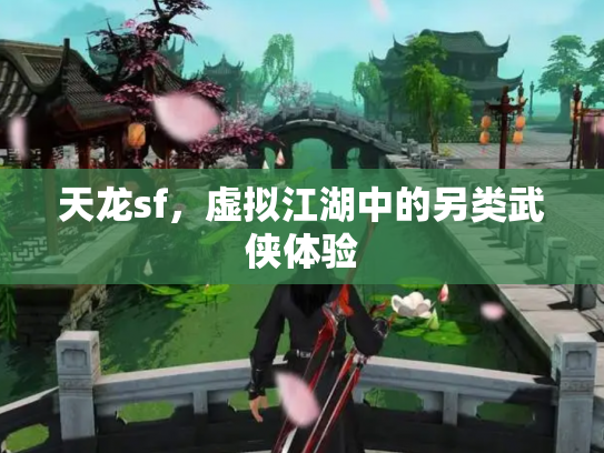 天龙sf，虚拟江湖中的另类武侠体验