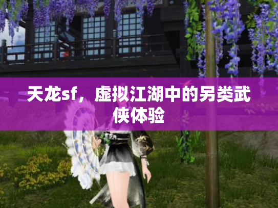 天龙sf，虚拟江湖中的另类武侠体验