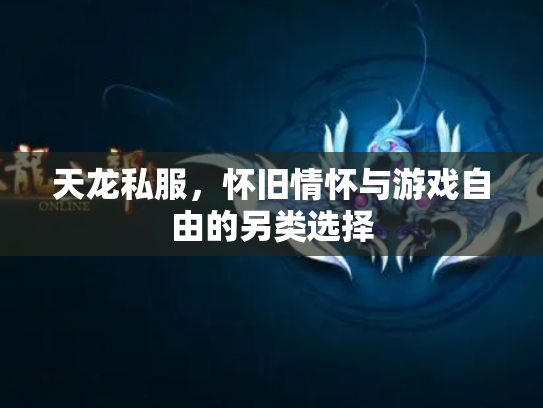 天龙私服，怀旧情怀与游戏自由的另类选择