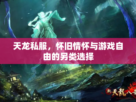天龙私服，怀旧情怀与游戏自由的另类选择