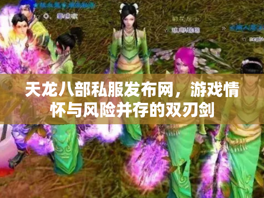 天龙八部私服发布网，游戏情怀与风险并存的双刃剑