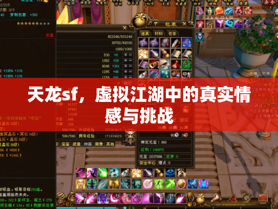 天龙sf，虚拟江湖中的真实情感与挑战