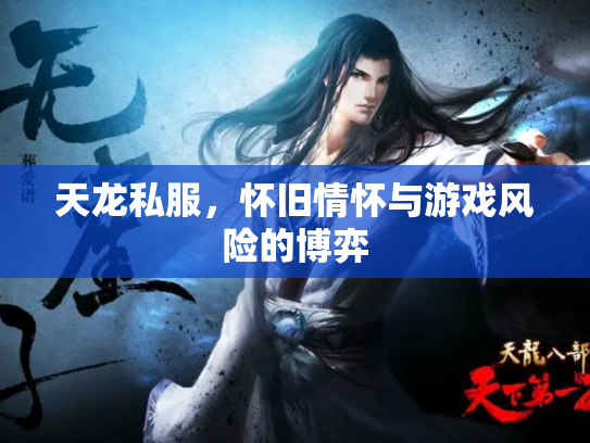 天龙私服，怀旧情怀与游戏风险的博弈