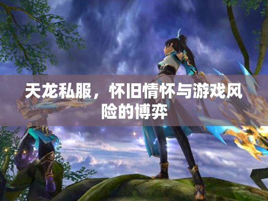 天龙私服，怀旧情怀与游戏风险的博弈