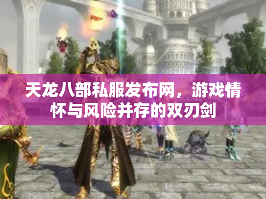 天龙八部私服发布网，游戏情怀与风险并存的双刃剑