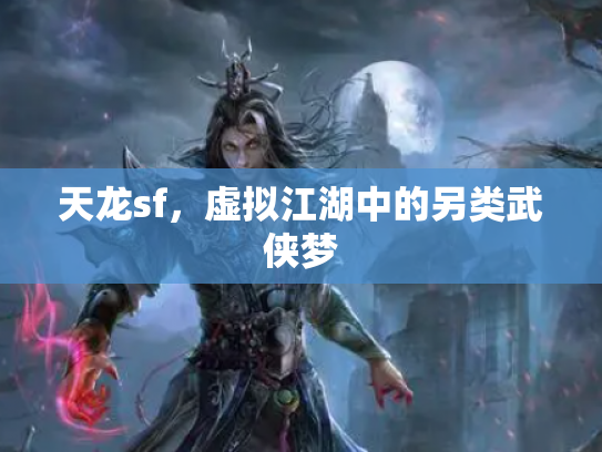 天龙sf，虚拟江湖中的另类武侠梦
