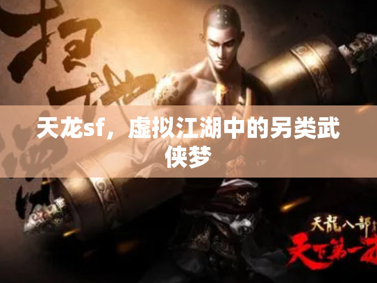 天龙sf，虚拟江湖中的另类武侠梦