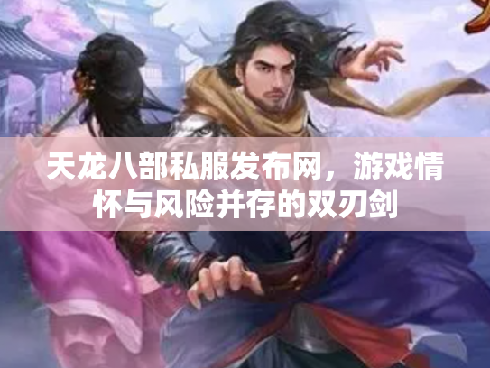 天龙八部私服发布网，游戏情怀与风险并存的双刃剑