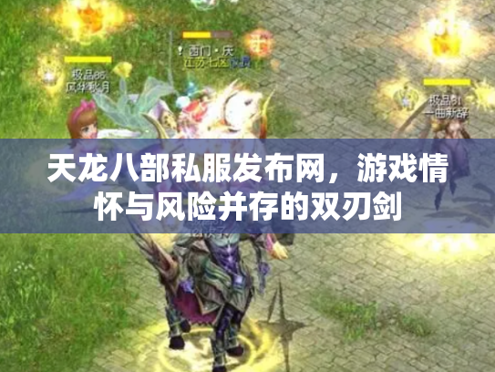 天龙八部私服发布网，游戏情怀与风险并存的双刃剑