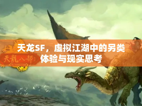 天龙SF，虚拟江湖中的另类体验与现实思考