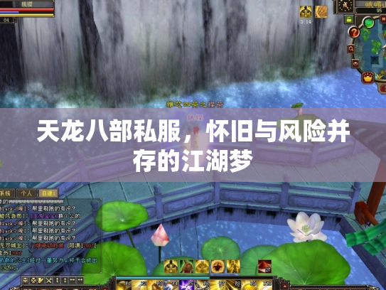 天龙八部私服，怀旧与风险并存的江湖梦