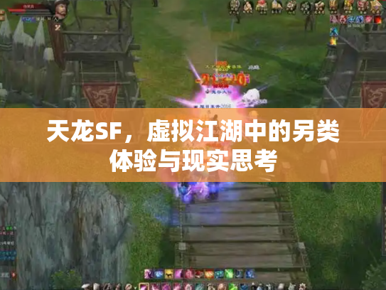 天龙SF，虚拟江湖中的另类体验与现实思考