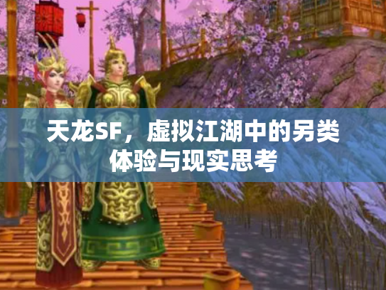 天龙SF，虚拟江湖中的另类体验与现实思考