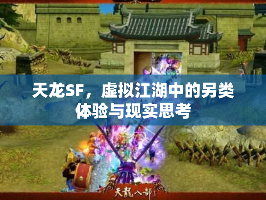 天龙SF，虚拟江湖中的另类体验与现实思考