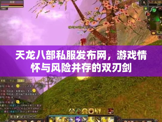 天龙八部私服发布网，游戏情怀与风险并存的双刃剑