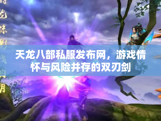天龙八部私服发布网，游戏情怀与风险并存的双刃剑