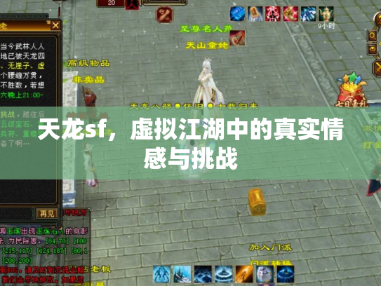 天龙sf，虚拟江湖中的真实情感与挑战