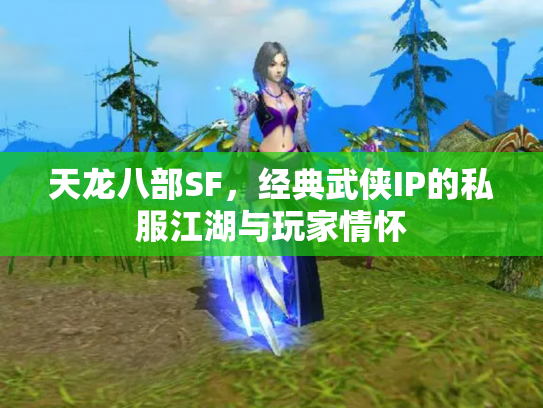 天龙八部SF，经典武侠IP的私服江湖与玩家情怀