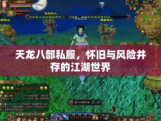 天龙八部私服，怀旧与风险并存的江湖世界