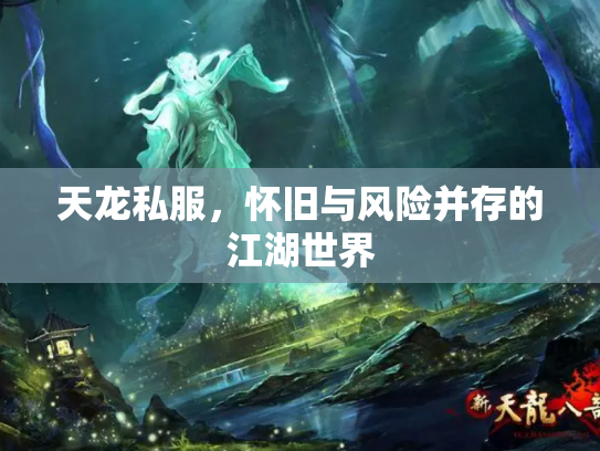 天龙私服，怀旧与风险并存的江湖世界