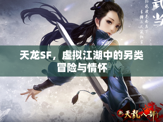 天龙SF，虚拟江湖中的另类冒险与情怀