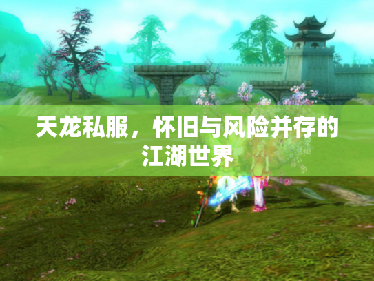 天龙私服，怀旧与风险并存的江湖世界