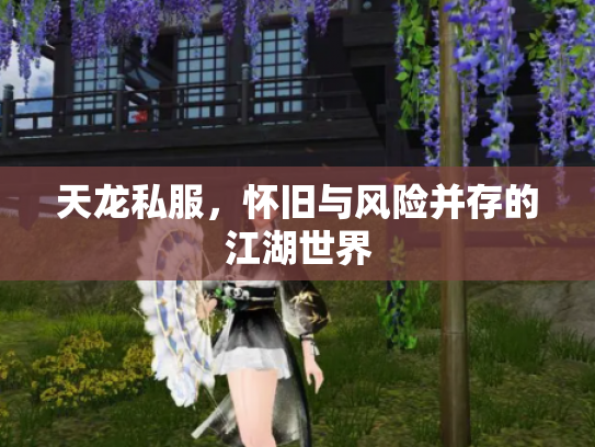 天龙私服，怀旧与风险并存的江湖世界