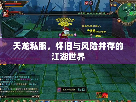 天龙私服，怀旧与风险并存的江湖世界