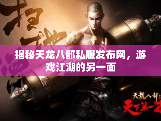 揭秘天龙八部私服发布网，游戏江湖的另一面