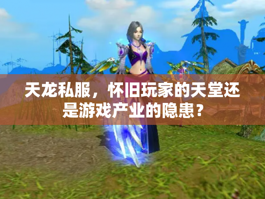 天龙私服，怀旧玩家的天堂还是游戏产业的隐患？