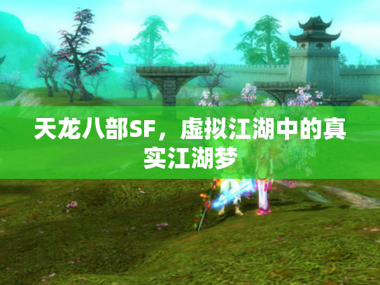 天龙八部SF，虚拟江湖中的真实江湖梦