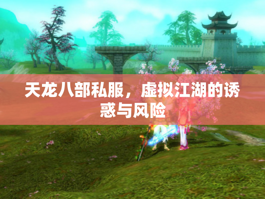 天龙八部私服，虚拟江湖的诱惑与风险