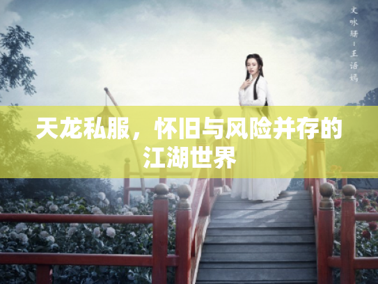 天龙私服，怀旧与风险并存的江湖世界